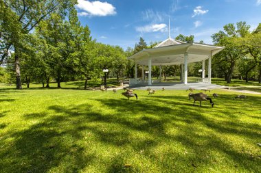 Kanada'da Regina şehir parkı