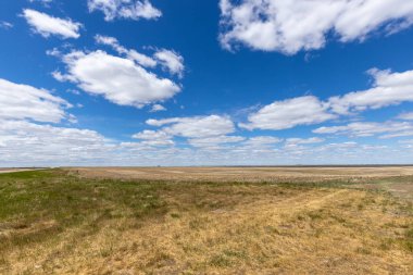 Kanada Bozkırı'nda yaz