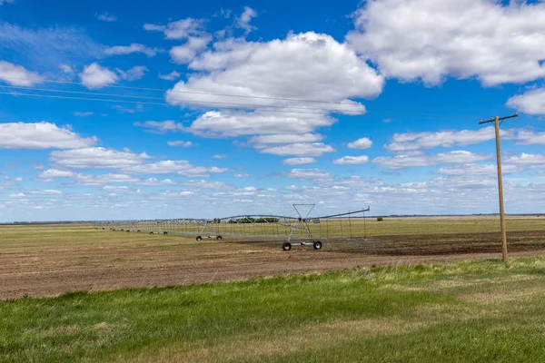 Verano Pradera Canadá —  Fotos de Stock