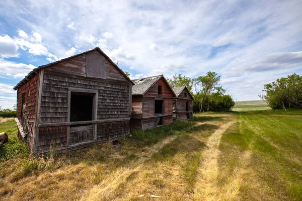 Övergivna Gård Prärien Kanada — Stockfoto