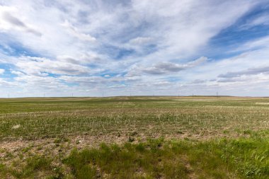 Kanada Bozkırı'nda yaz