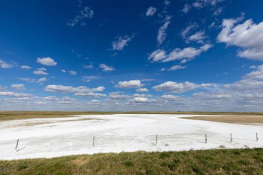 Kanada Bozkırı'nda yaz