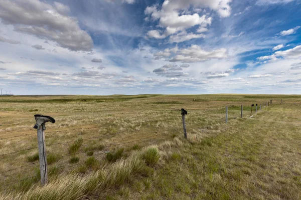 Prateria Del Canada — Foto Stock