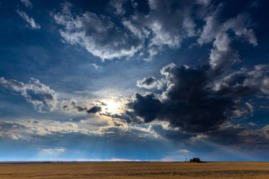 Kanada Bozkırı'nda yaz