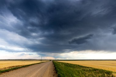 kanada bozkırda ülke yolu