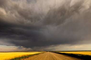 Kanada Bozkırı'nda yaz