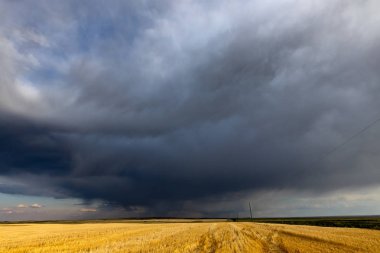 Kanada Bozkırı'nda yaz