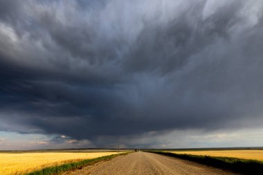 Kanada Bozkırı'nda yaz