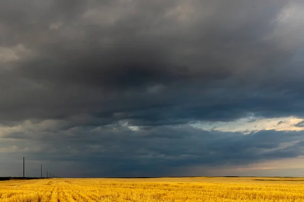 Zomer Prairie Van Canada — Stockfoto