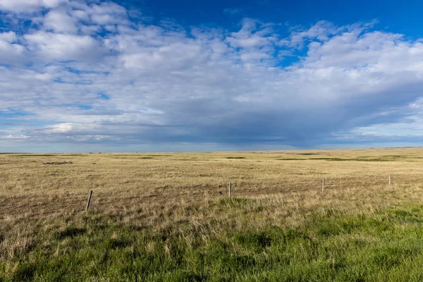 Summer Prairie Canada — Stock Photo, Image