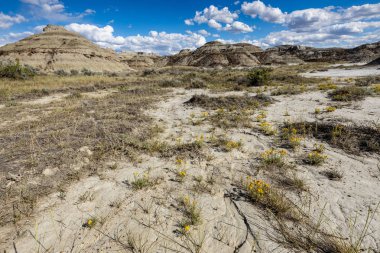 Kanada'da Albert Badlands