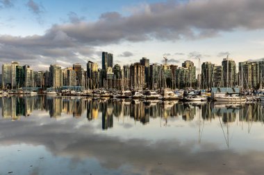 Vancouver Silüeti ve Şehir Manzarası 