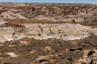 Kanada'da Alberta Red Deer Nehri Kanyonu