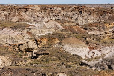 Kanada'da Alberta Red Deer Nehri Kanyonu