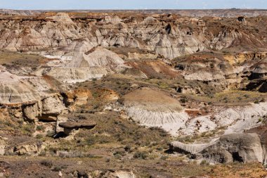 Kanada'da Alberta Red Deer Nehri Kanyonu