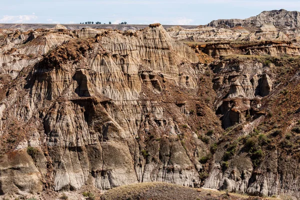 Red Deer River Canyon Alberta Kanadában — Stock Fotó