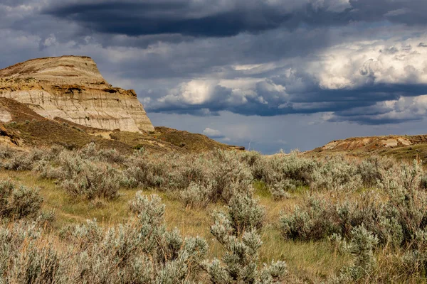 Red Deer River Canyon Van Alberta Canada — Stockfoto