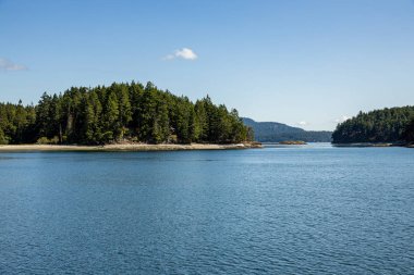 Kanada'da Vancouver Adası sahil şeridi