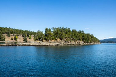 Kanada'da Vancouver Adası sahil şeridi