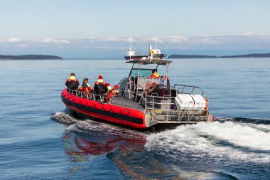 Vancouver Island Kanada, 09 tarafından Whale Watching turist. Temmuz 2019