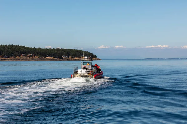 Τουρίστας Παρακολούθηση Φαλαινών Από Νησί Βανκούβερ Καναδά 2019 Ιουλίου — Φωτογραφία Αρχείου