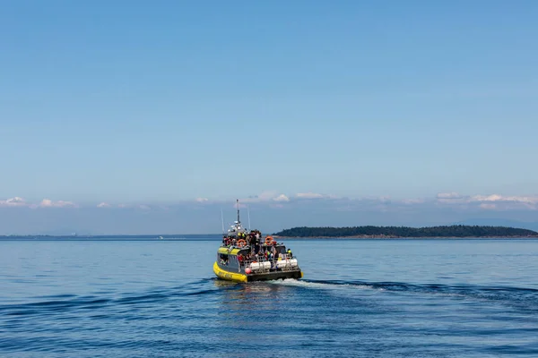 Turista Bálnales Vancouver Sziget Kanadában Július 2019 — Stock Fotó