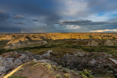 Kanada'da Alberta Red Deer Nehri Kanyonu
