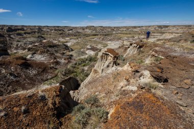 Alberta Badlands Red Deer Nehri Kanyonu