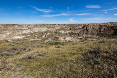 Alberta Badlands Red Deer Nehri Kanyonu