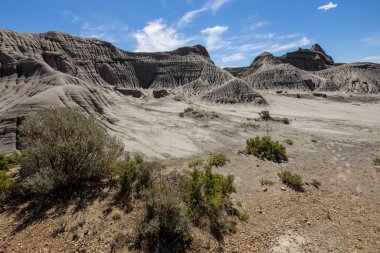 Alberta Badlands Red Deer Nehri Kanyonu