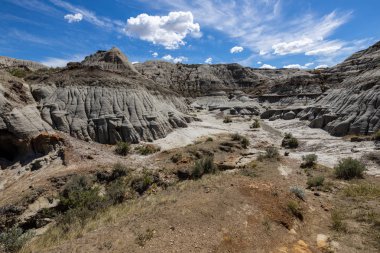 Alberta Badlands Red Deer Nehri Kanyonu