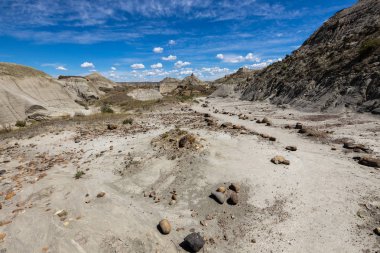 Alberta Badlands Red Deer Nehri Kanyonu