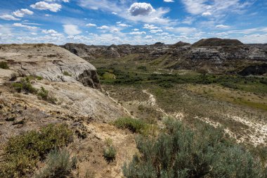 Alberta Badlands Red Deer Nehri Kanyonu