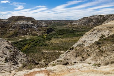 Alberta Badlands Red Deer Nehri Kanyonu