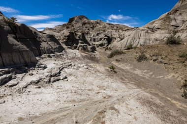 Alberta Badlands Red Deer Nehri Kanyonu