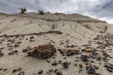 Alberta Badlands Red Deer Nehri Kanyonu