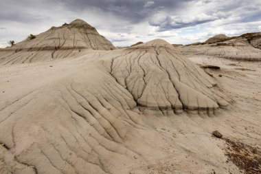 Alberta Badlands Red Deer Nehri Kanyonu