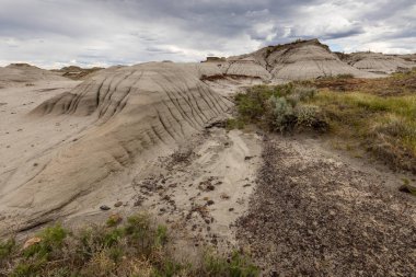 Alberta Badlands Red Deer Nehri Kanyonu