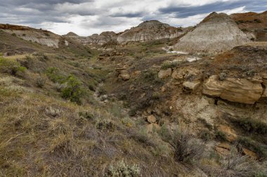 Alberta Badlands Red Deer Nehri Kanyonu
