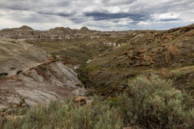 Alberta Badlands Red Deer Nehri Kanyonu