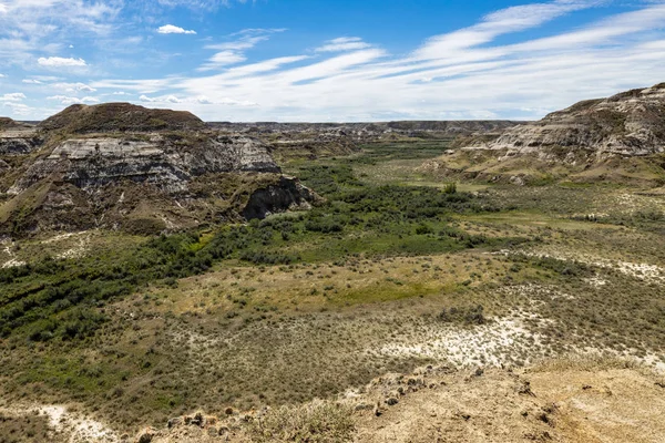 Червоний Олень Річка Каньйон Badlands Альберті — стокове фото