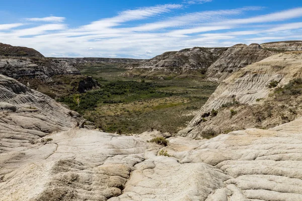 Canyon Rivière Red Deer Dans Les Badlands Alberta — Photo