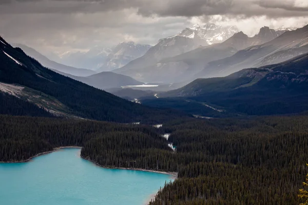 Die Farben Des Peyto Sees Kanada — Stockfoto
