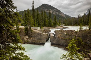 Yoho Milli Parkı Doğal Köprüsü ile Kicking Horse Nehri