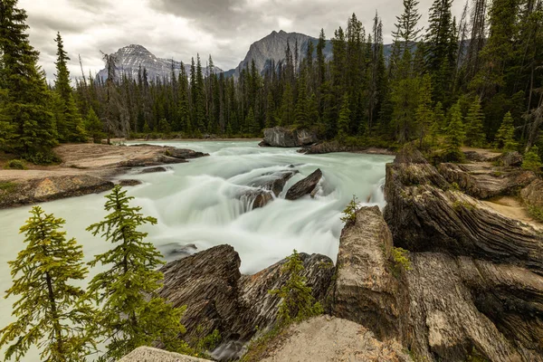 Rivière Kicking Horse Avec Pont Naturel Parc National Yoho — Photo