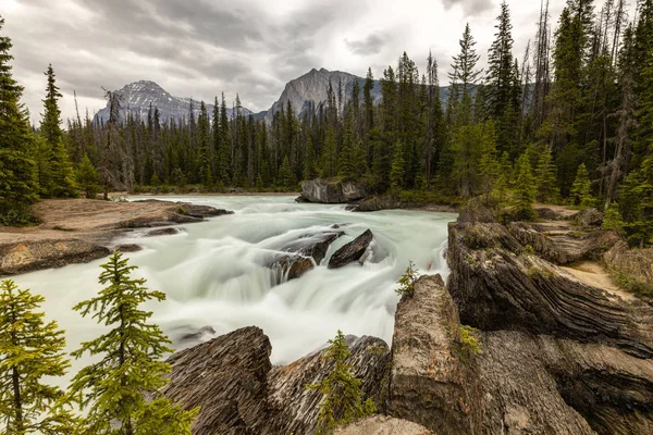 Rivière Kicking Horse Avec Pont Naturel Parc National Yoho — Photo