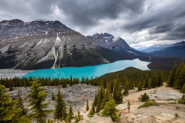 Kanada'daki Banff Ulusal Parkı Peyto Gölü