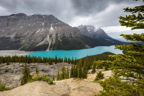 캐나다 국립공원의 페이토 — 스톡 사진