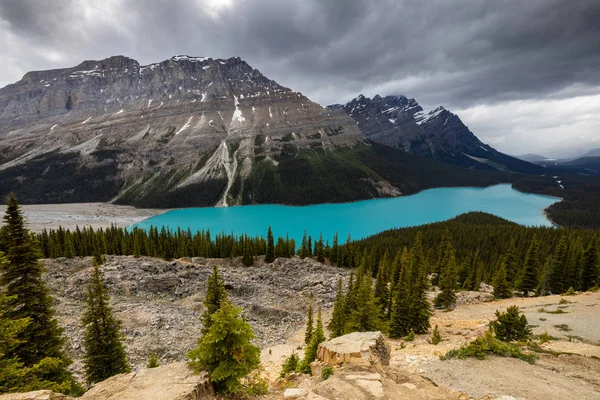 Peyto Banff Nemzeti Park Kanadában — Stock Fotó