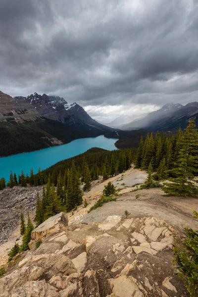 Lago Peyto Del Parque Nacional Banff Canadá —  Fotos de Stock